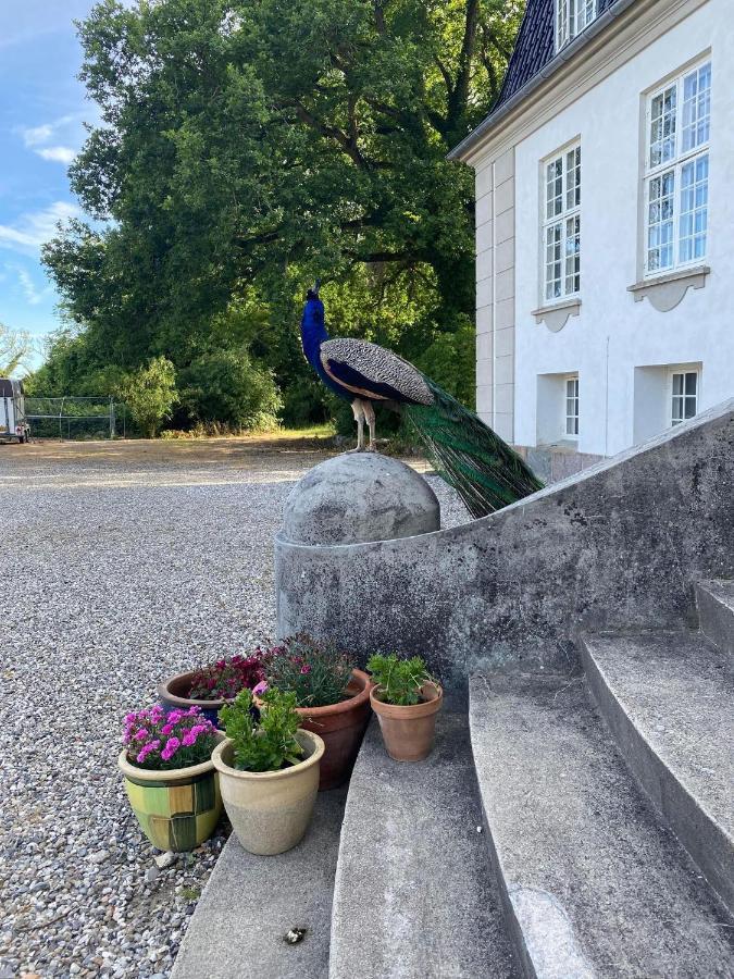 Sakskøbing Rosenlund Gods - Kaelder B&B المظهر الخارجي الصورة